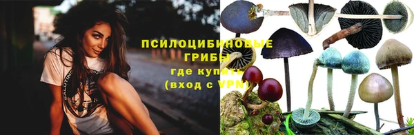 метадон Касимов