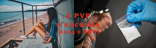 сатива Карталы