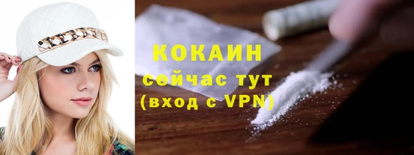 молекула духа Карпинск