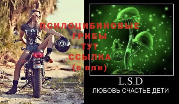 сатива Карталы
