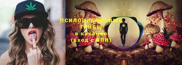 молекула духа Карпинск