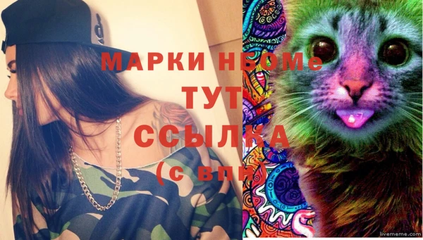 молекула духа Карпинск