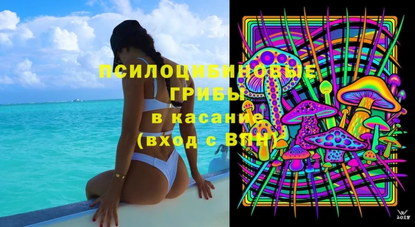 молекула духа Карпинск
