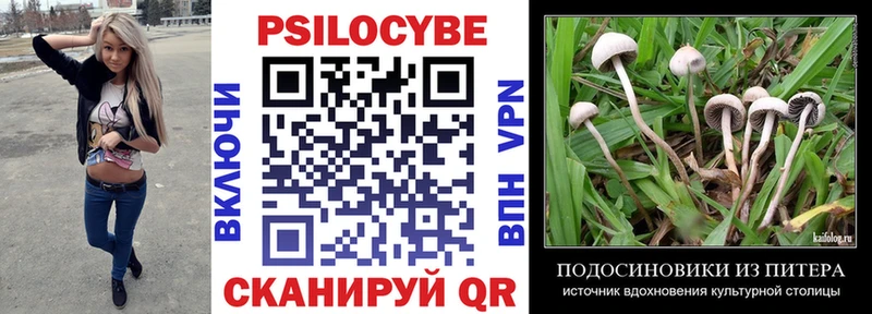 Галлюциногенные грибы Magic Shrooms Купить закладки Пустошка